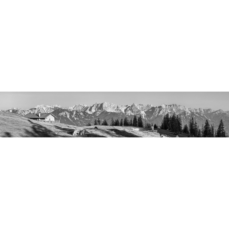 Blick ins Karwendel - Almwiese Krüner Alm - schwarz weiß