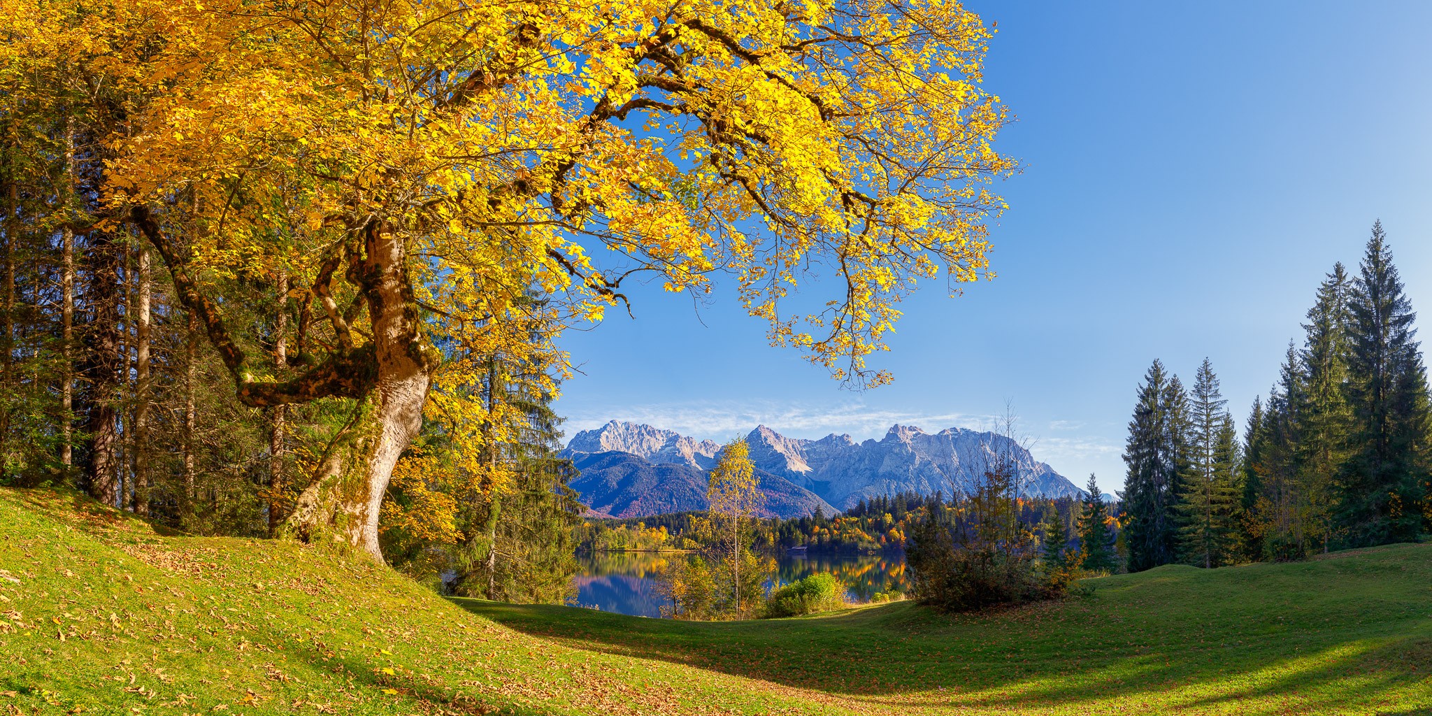 Das Ahornlaub leuchtet goldgelb - Herbstzeit! Barmsee mit Blick auf das Karwendelgebirge.
