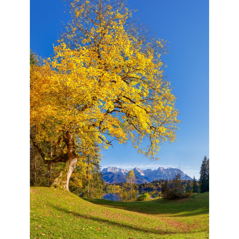 Herbst in der Alpenwelt Karwendel - Barmsee