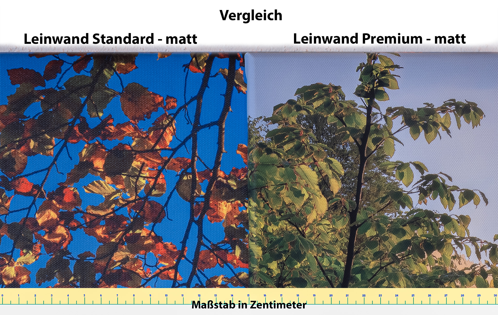 Vergleich Leinwand Standard vs Leinwand Premium